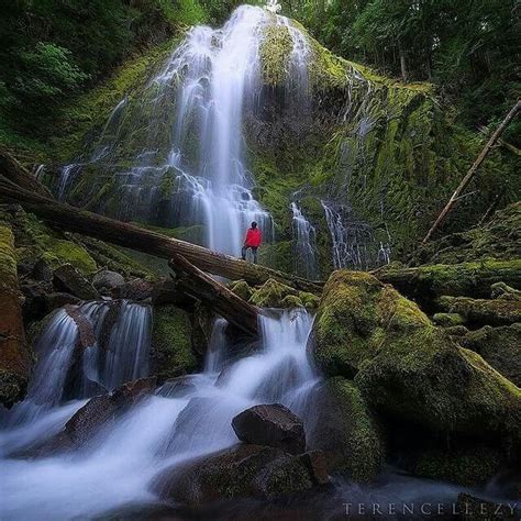 Pin By Julia Grothe On Our Beautiful World Proxy Falls Oregon Oregon