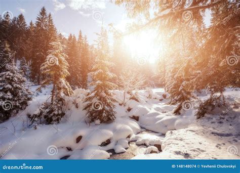 Awesome Alpine Highlands In Sunny Day Panoramic View Of Beautiful