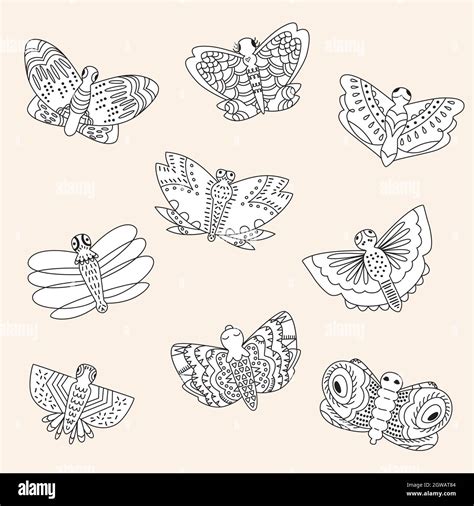 Hand Drawn Butterflies Moth Insect Flying Bugs Night Critters