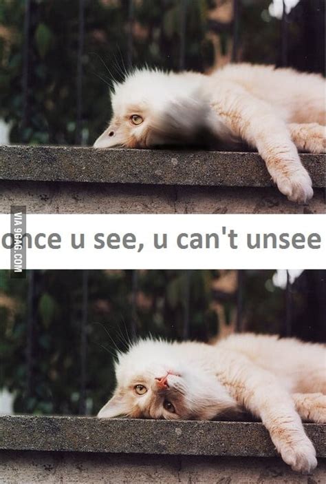 once you see you can t unsee 9gag