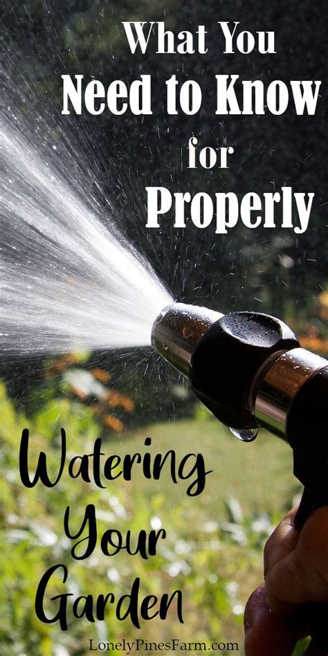 Key Watering Principles That Every Gardener Should Know Watering