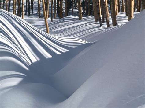 3385181 1600x1200 Wood Snow Snowdrifts Trees Wallpaper  Cool