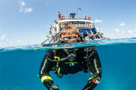 Great Barrier Reef Diving Scuba Diver Great Barrier Reef Tours Cairns