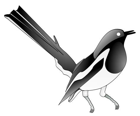 Free Clip Art Oriental Magpie Robin By Salahuddin66