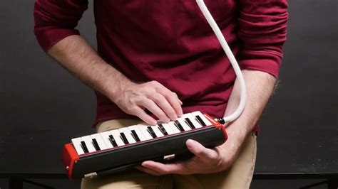 Bass Melodica Demo Youtube