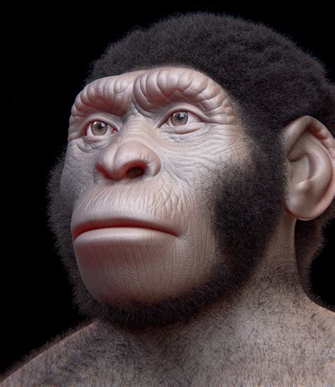 Homo Naledi Lived Alongside Modern Humans In Ancient Africa