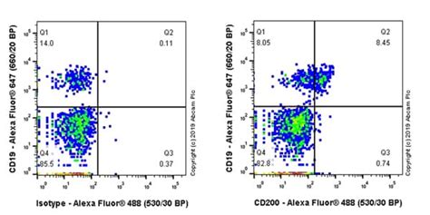 Recombinant Anti Cd200 Antibody Epr22412 53 Ab252920 Abcam