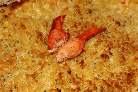 For The Love Of Food Lobster Mac And Cheese