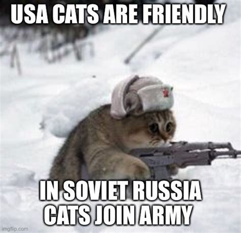Russian Cat Imgflip