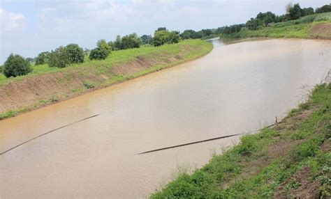 Limca Book Of Records For ‘most Extensive River Rejuvenation By Any Ngo