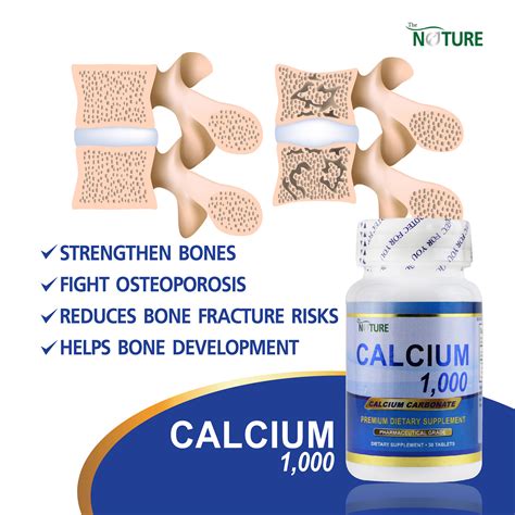 Functions Of Calcium In Bones And Teeth