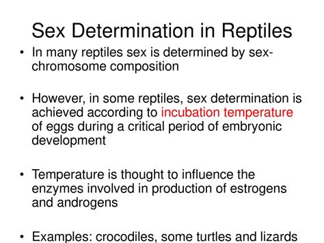 Sex Determination And Sex Chromosomes Ppt Download