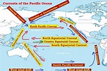 Pacific Ocean Currents | Phytoplankton and Fishing - PMF IAS