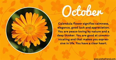 While you do tend to exhibit strong scorpio traits a lot of the time, your libra side tends to manifest itself every so often. Your Birth Flower is October
