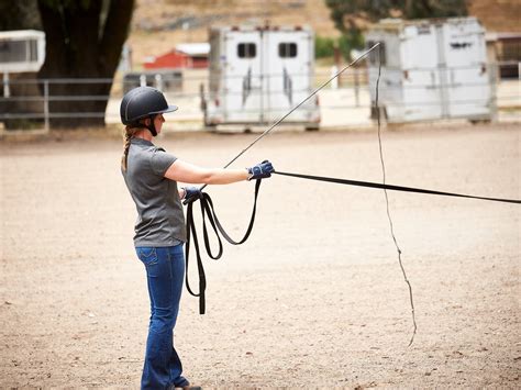 Lunging A Horse Safely Lunge Training And Equipment Guide