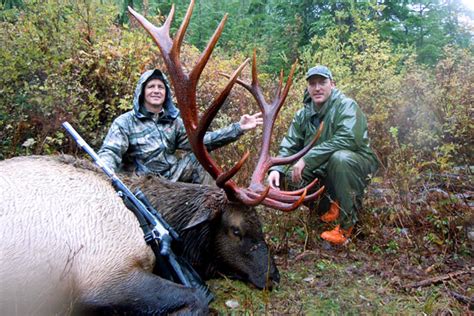 Vancouver Island Roosevelt Elk Hunts North Vancouver Island Hunting