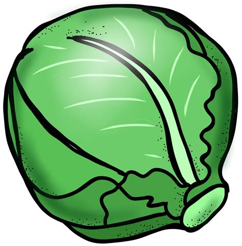 Free Cabbage Transparent Download Free Cabbage Transparent Png Images