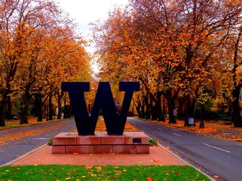 If you book with tripadvisor, you can cancel up to 24 hours before your tour starts for a full refund. 5 Things the University of Washington Huskies are Thankful ...