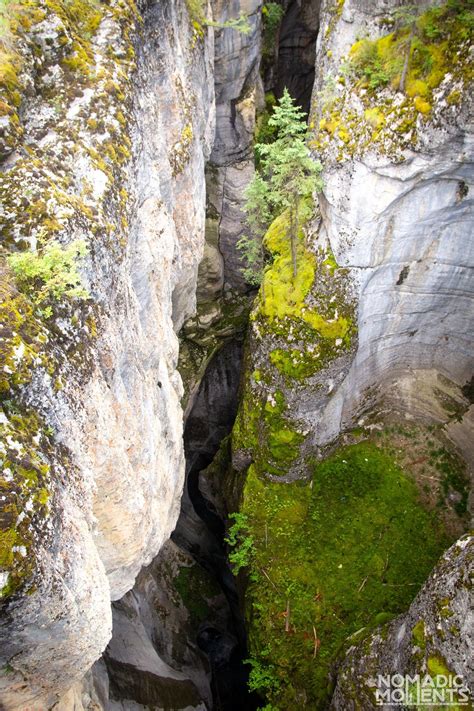 Maligne Canyon Trail Best Canadian Rockies Day Hikes