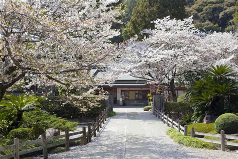 Shikoku Pilgrimage 88 Temples To Enlightenment The True Japan