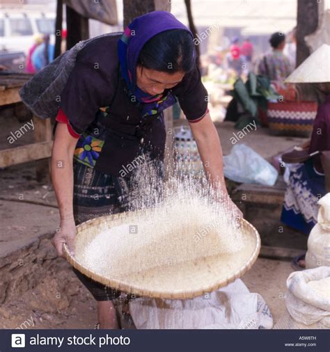 Sieving Rice Hi Res Stock Photography And Images Alamy