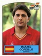 Rafael Gordillo | Seleccion española de futbol, Leyendas de futbol ...