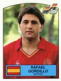 Rafael Gordillo | Seleccion española de futbol, Leyendas de futbol, Fotos de fútbol