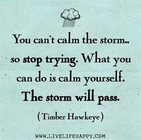 You Cant Calm The Storm So Stop Trying What You Can Do Is Calm