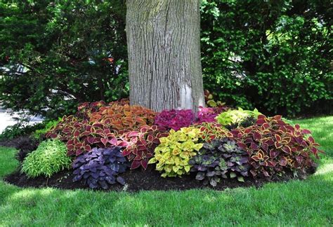 Cheap Front Yard Landscaping Ideas You Will Inspire 25 Landscaping