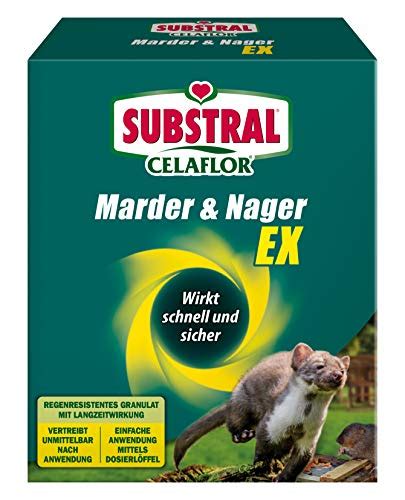 Check spelling or type a new query. Top 10 Mittel gegen Mäuse im Garten - Nagetierbekämpfung ...