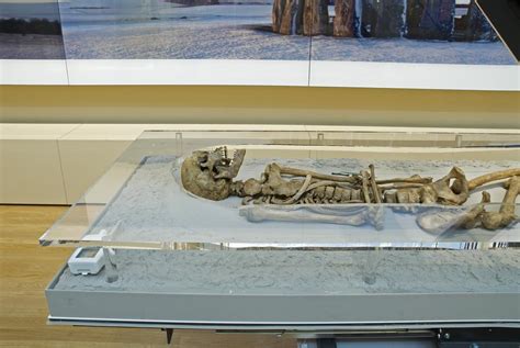 Human Skeletal Remains British Museum