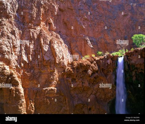 Usa Az Grand Canyon Mooney Falls Stock Photo Alamy