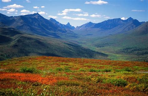 The 10 Best Photos Of The Yukon Territory The Daily Boost Yukon