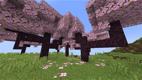 Minecraft 1 20 Update Cherry Blossoms YouTube
