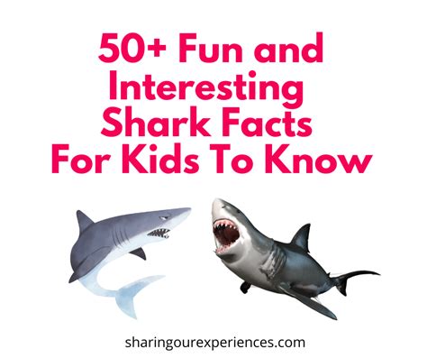50 Fun And Interesting Shark Facts For Kids To Know Sharing Our