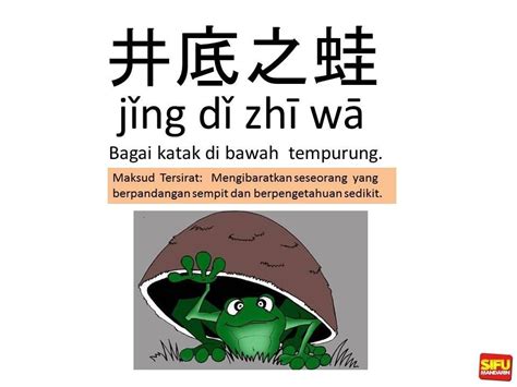 Seperti telah kita singgung, di bawah tempurung itu gelap. Katak Di Bawah Tempurung In English Idiom