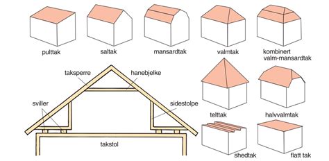 Takskjegg Store Norske Leksikon