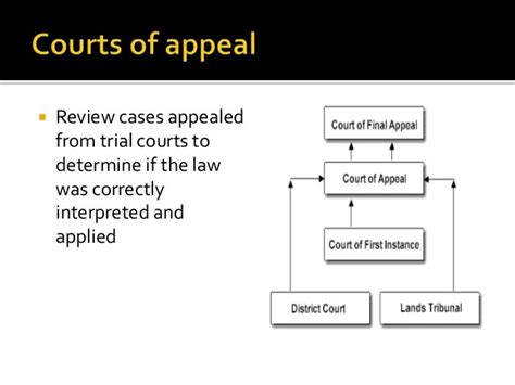 Organization Of The Us Court System