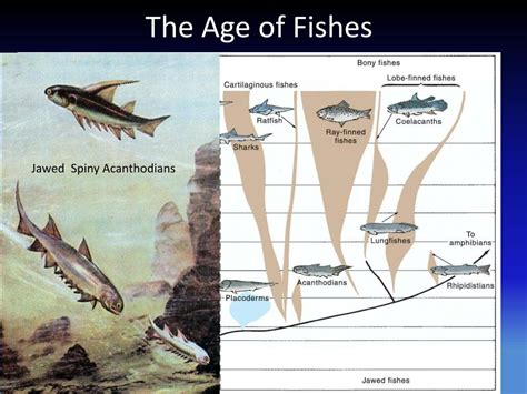 Ppt Earth History Geol 2110 Powerpoint Presentation Free Download