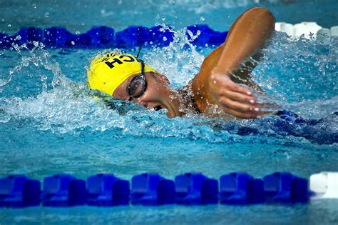 Free Picture Sport Swimmer Racing Pool
