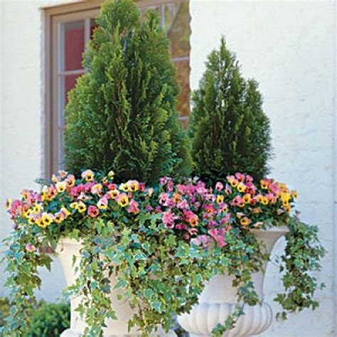 Topiaries For Front Porch Ideas On Foter