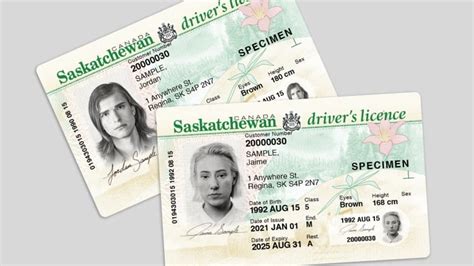 Sask Residents No Longer Need To Include Their Sex On Drivers Licences Photo Id Cbc News