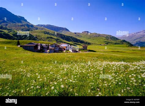 Landscape With Green Meadows Flowers Farmhouses And Mountain Slopes