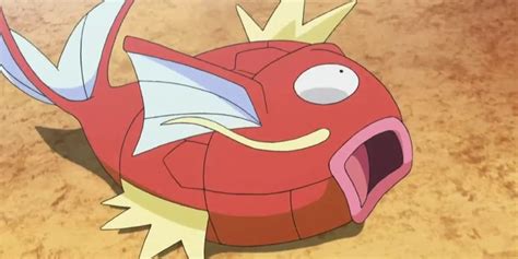 Pokemon Sword And Shields Newest Competition Is All About Magikarp