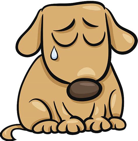 5700 Sad Dog Ilustraciones De Stock Gráficos Vectoriales Libres De