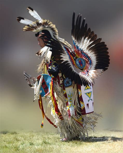 Mens Traditional Dancer Native American Men Native American Tribes