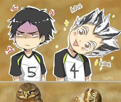 Check spelling or type a new query. Bokuto Koutarou Haikyuu Quotes Funny - Happy birthday meme ...