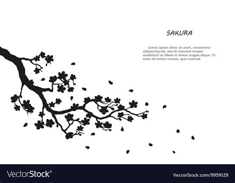 black silhouette of sakura on a white background vector image