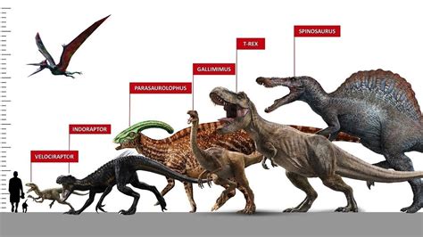 Jurassic World Dinosaurs Sizes Jurassic Park Dinosaurs Movies
