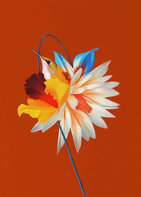 Rocío Montoyas Hybrid Flowers Illustrations Arte De Aves Pinturas